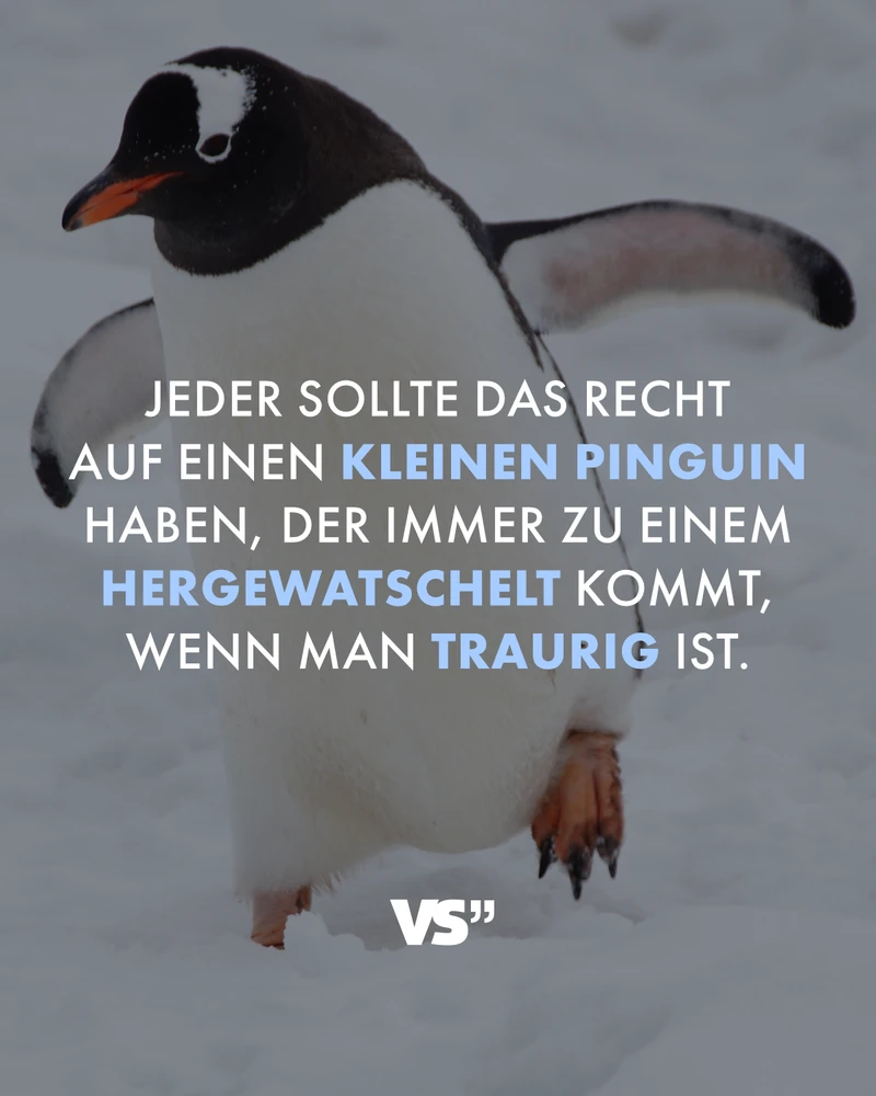 Bild hochgeladen von David Neugschwentner