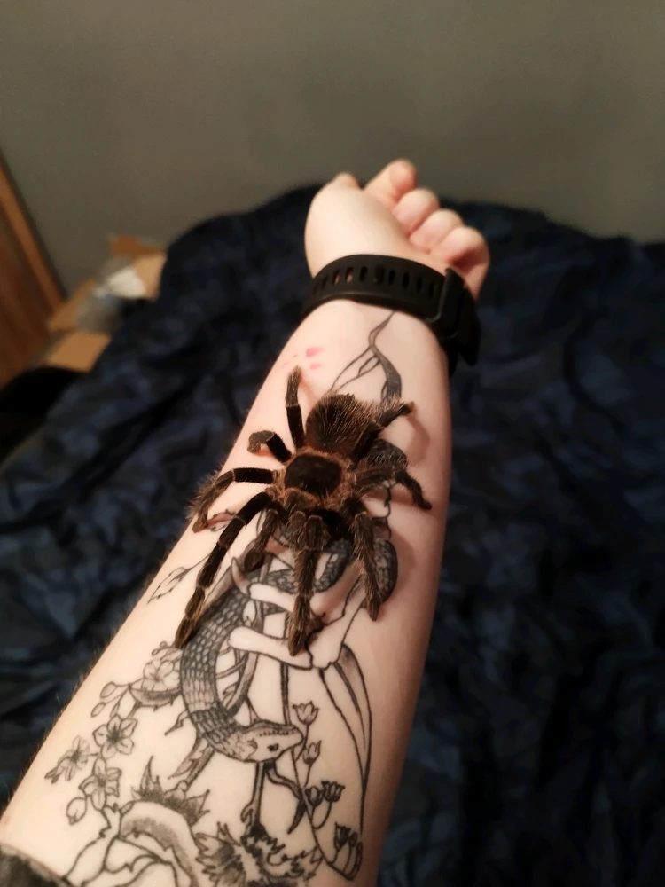 Image uploaded by Jul