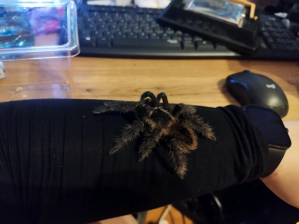 Image uploaded by Jul