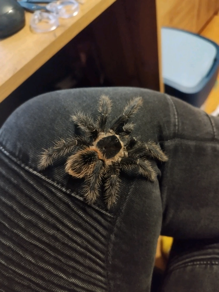 Image uploaded by Jul