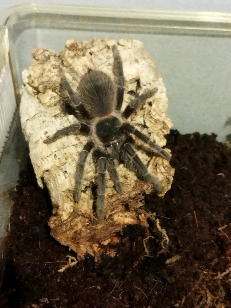 Image uploaded by Jul