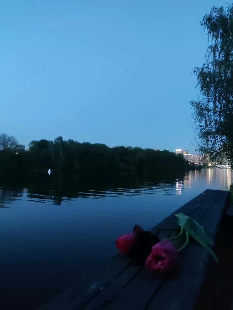GIF загрузил Juliya
