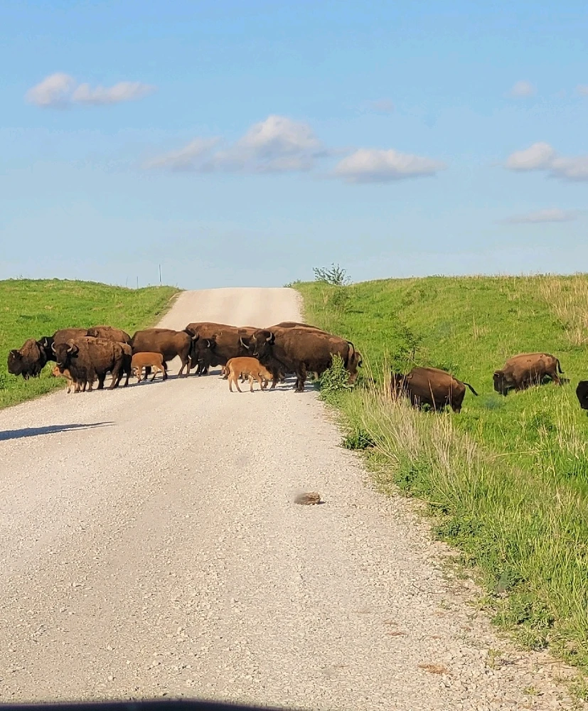 GIF uploaded by Tyler Van Peursem