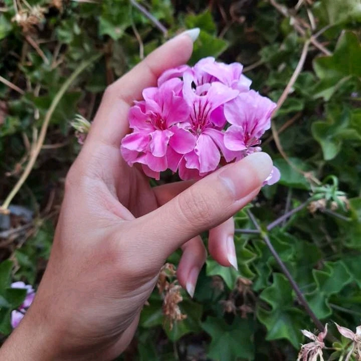 GIF subido por Diego