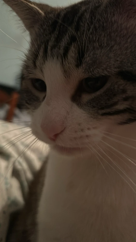 GIF subido por Irene ✨