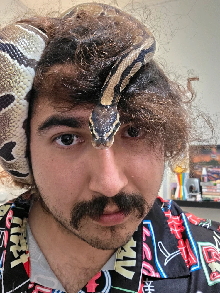 Snake headdress?