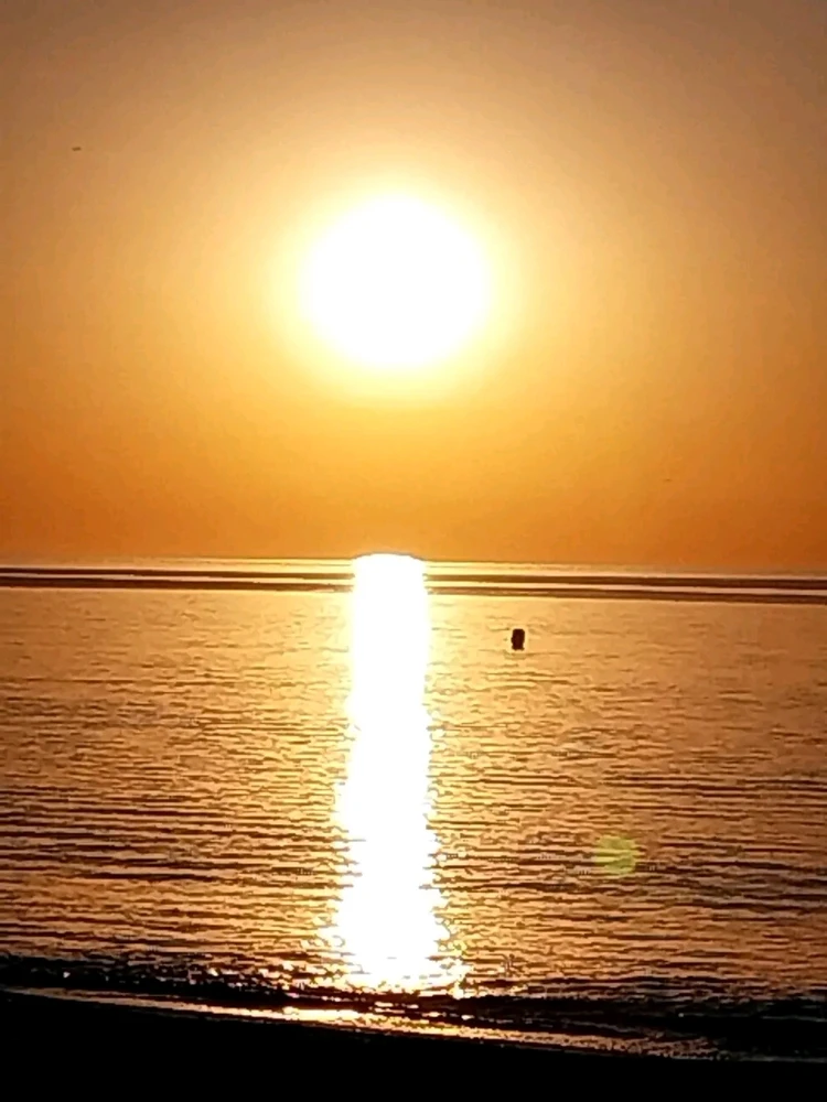 GIF uploaded by β€ Sophia aka Mango Mami β€οΈ