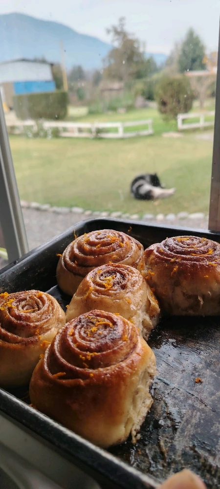 Imagen subida por Ignacia