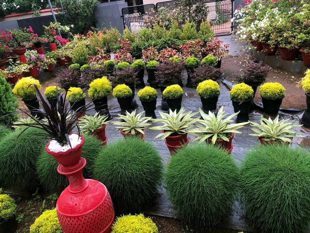 GIF uploaded by Satriani Said