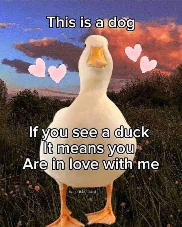 GIF încărcat de Luiza