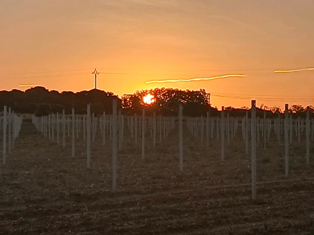 Bonne journée  à vous tous.
Après une rando très matinale