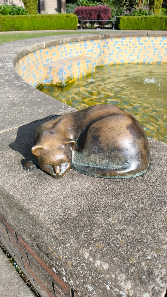 Image uploaded by Pablo