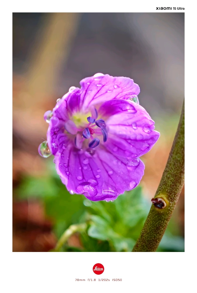 Image uploaded by Boriss