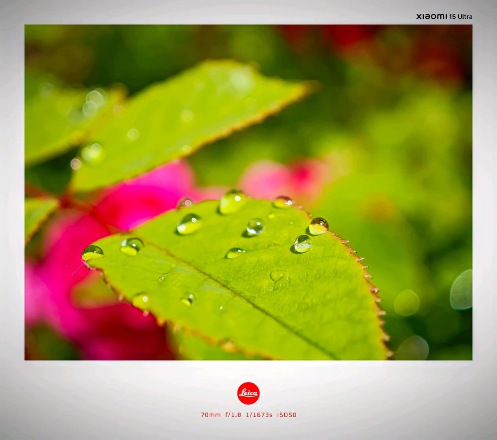 Image uploaded by Boriss