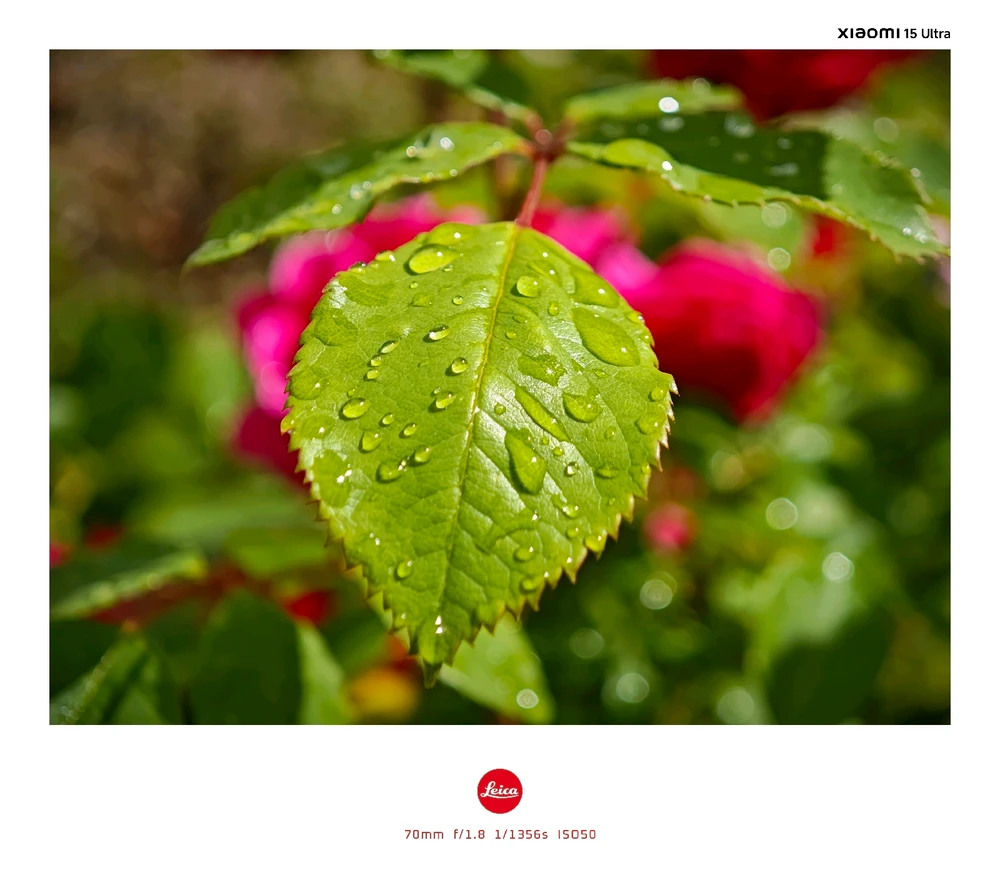 Image uploaded by Boriss