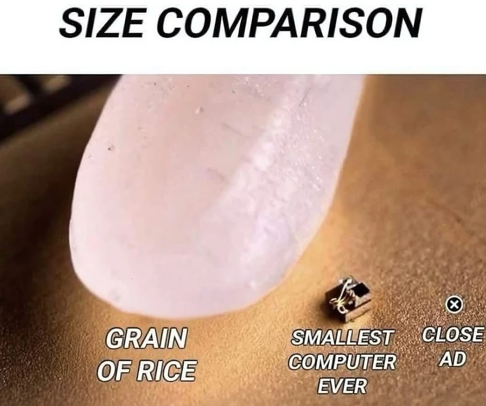 GIF uploaded by Gentle Giant