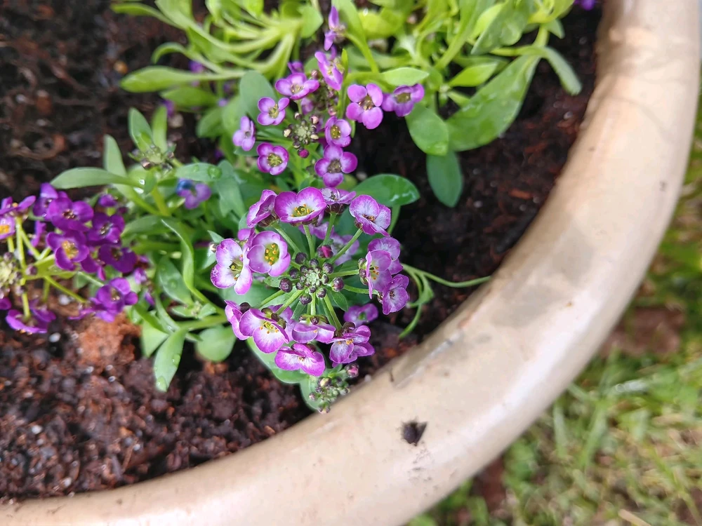 Imagen subida por Blanca