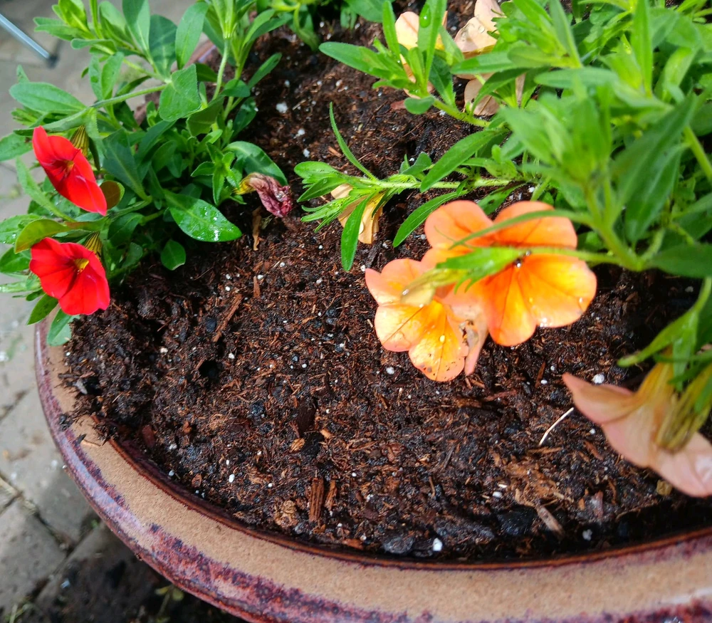 Imagen subida por Blanca