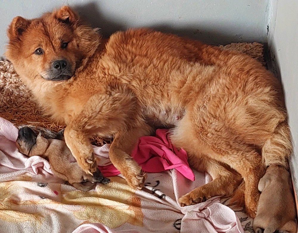 GIF enviado por Thainá