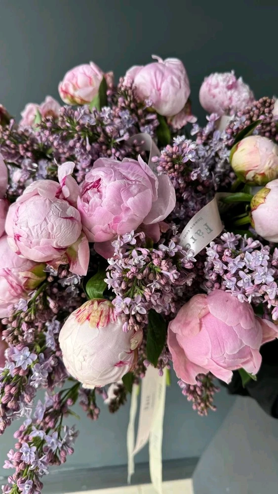 Фото загрузил Алина