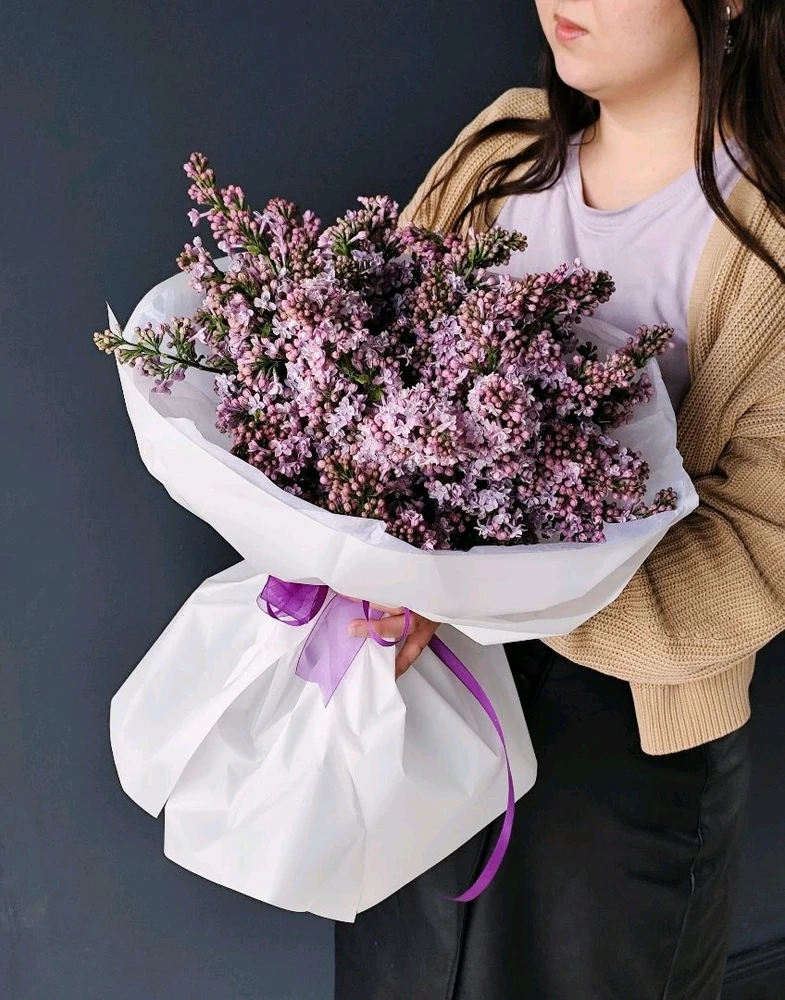 Фото загрузил Алина