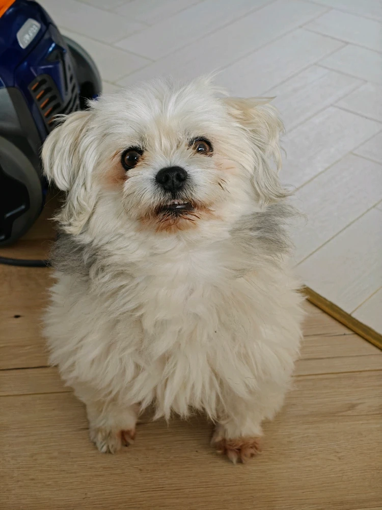 Czy te oczy mogą kłamać? 😍