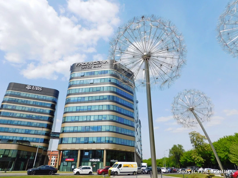 Zdjęcie dodane przez Czarna_Kosmitka