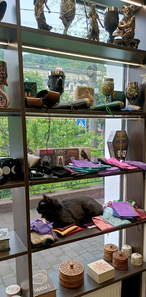 Гіфку завантажив Midnight