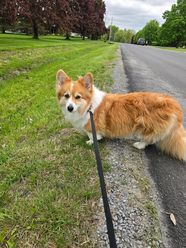 Image uploaded by Ashley