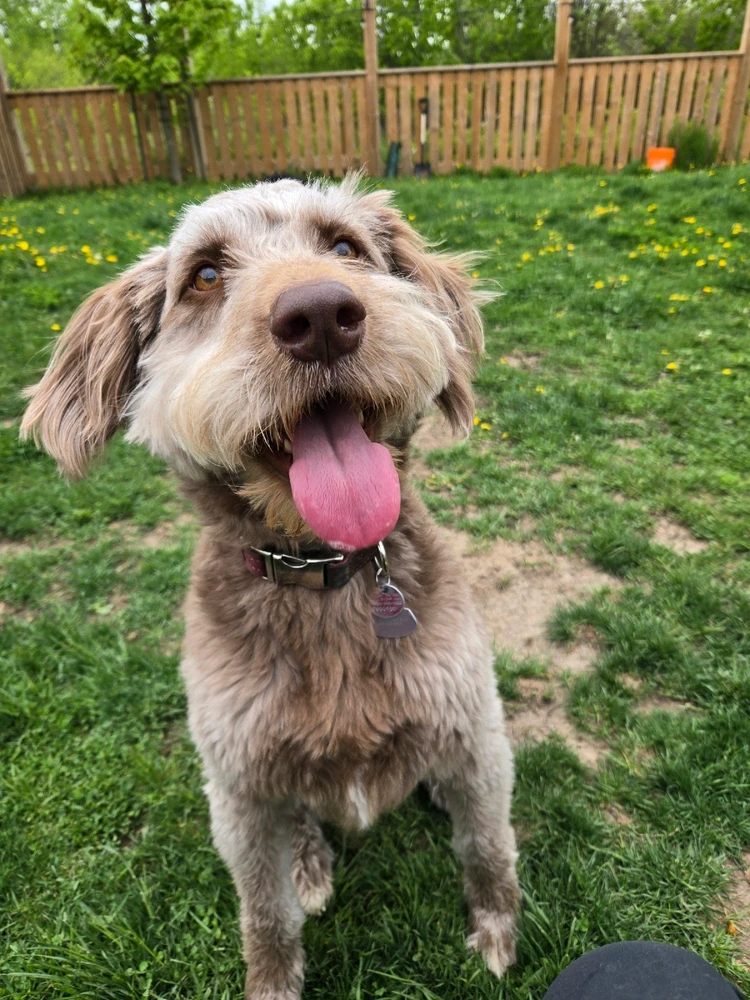 Image uploaded by Ashley