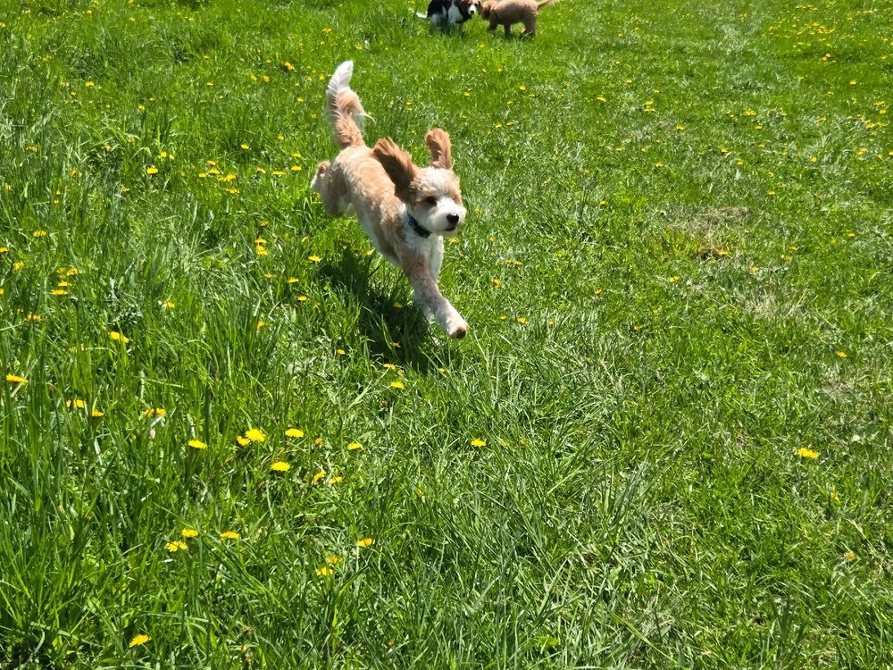 Image uploaded by Ashley