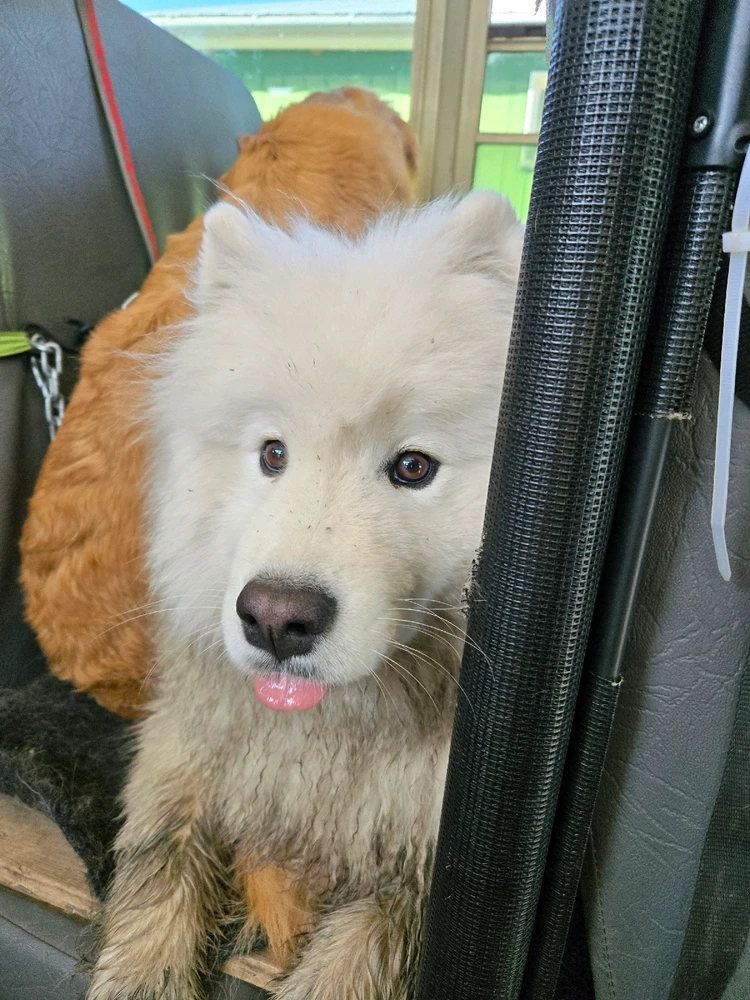 Image uploaded by Ashley