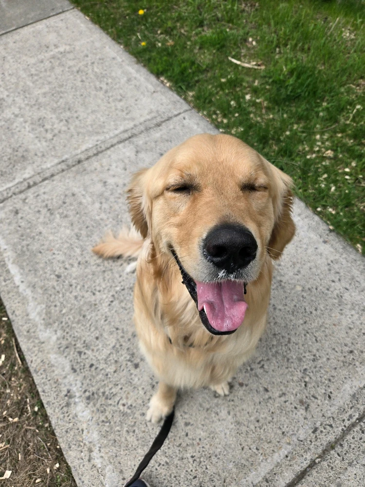 Image uploaded by Ashley