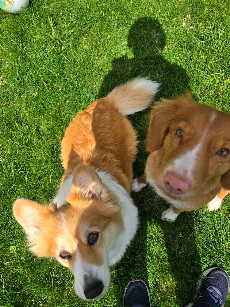 Image uploaded by Ashley