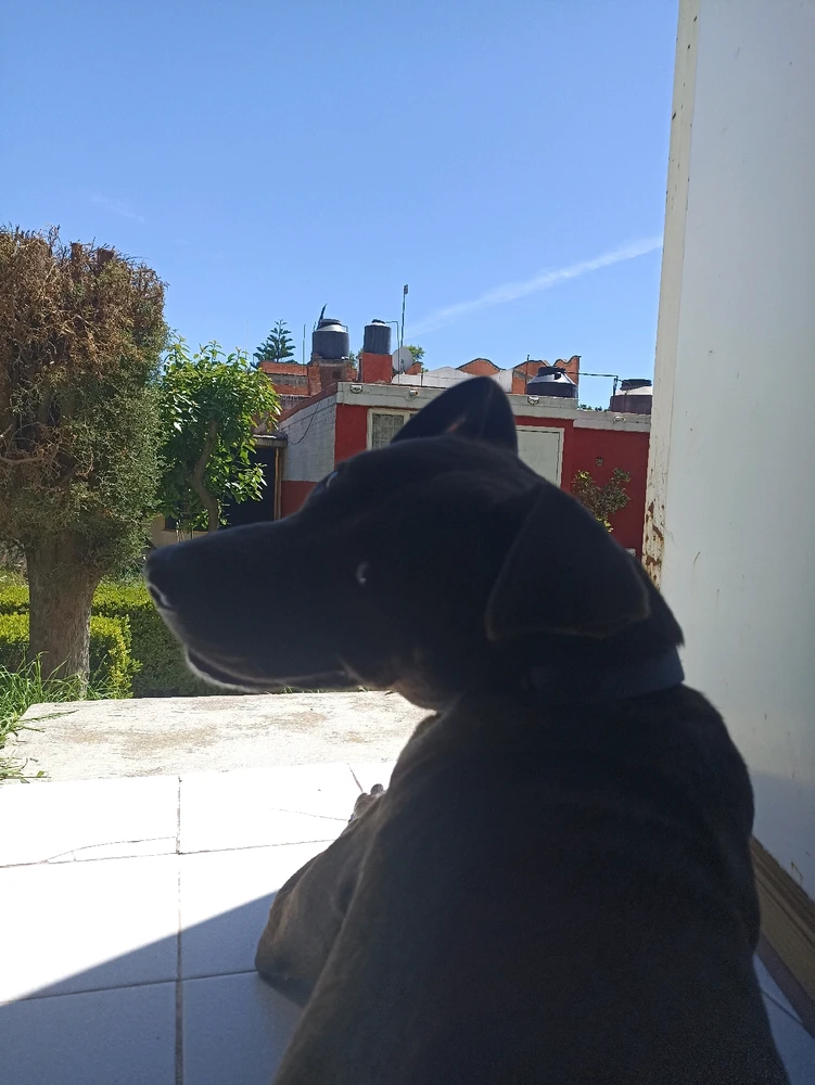 Image uploaded by Tiz