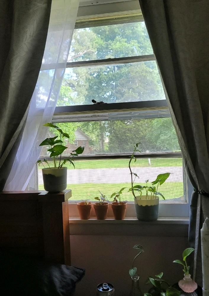 Image uploaded by Oceana