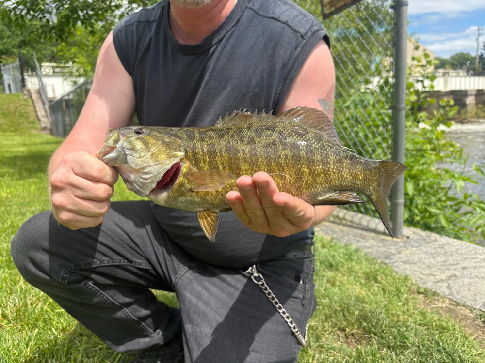 GIF uploaded by Andy