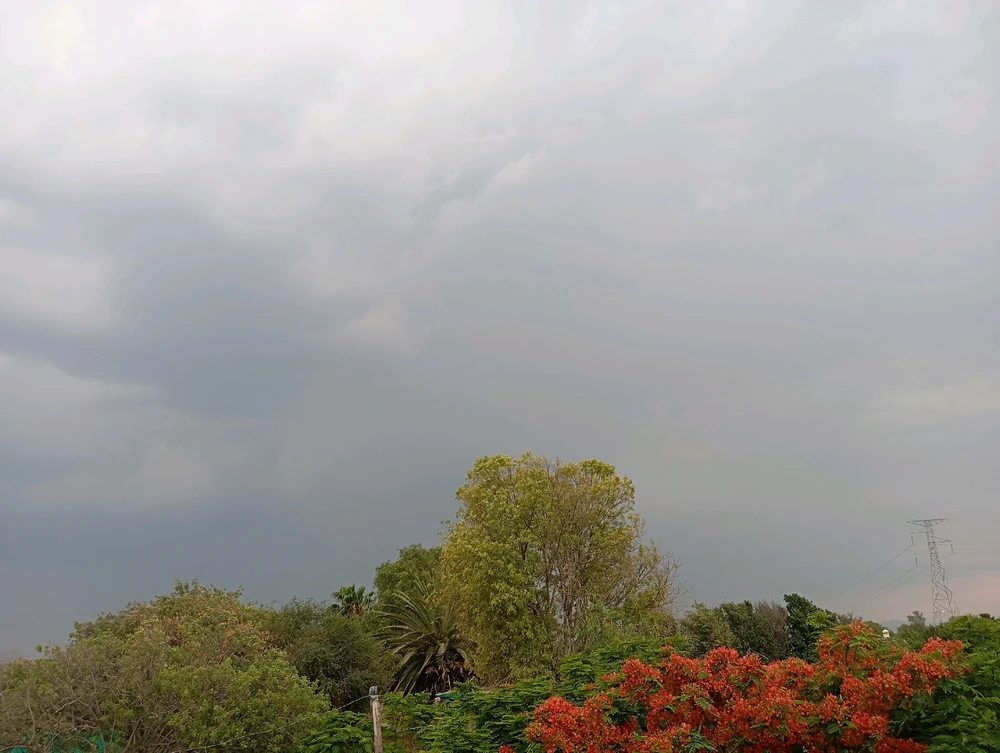 Un momento de relajación