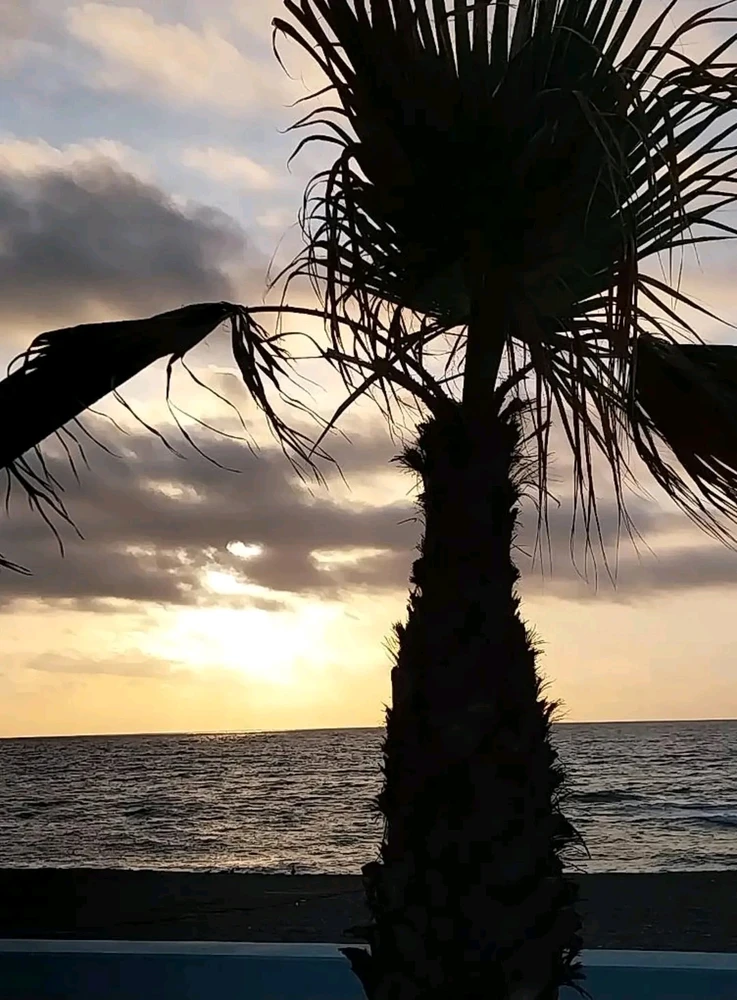 GIF uploaded by β€ Sophia aka Mango Mami β€οΈ