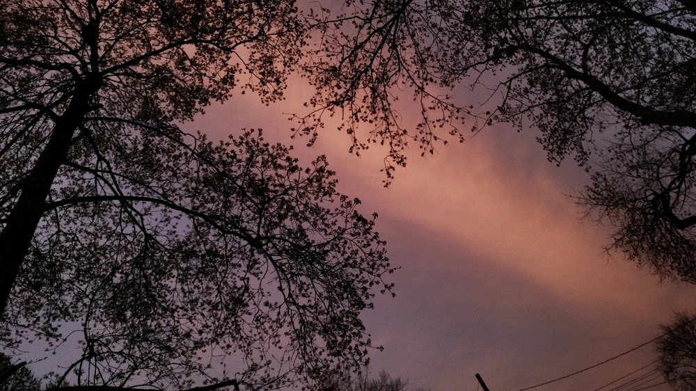 Image uploaded by Mackenzie