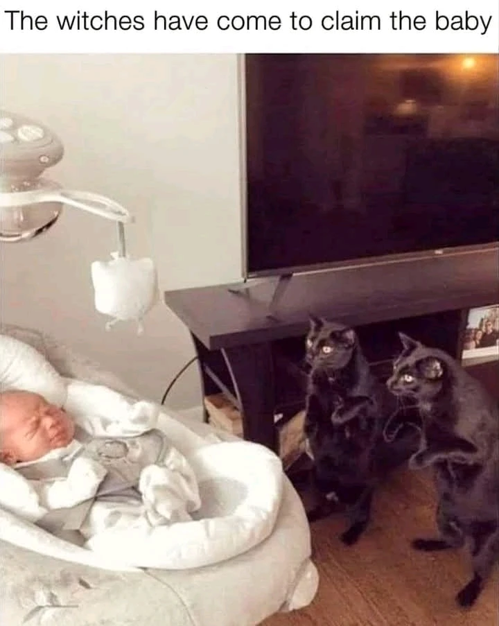 GIF otpremio/la Đorđe