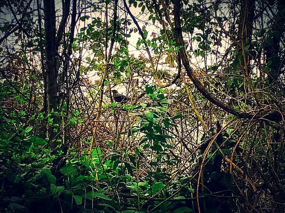 Immagine caricata da Andrea