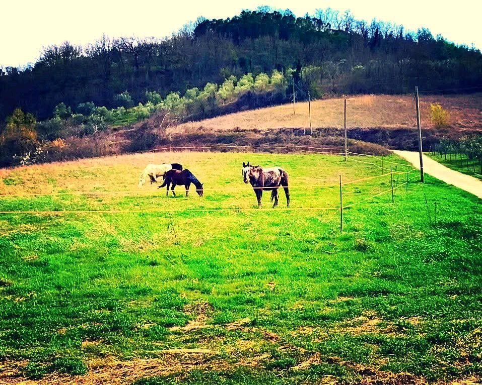 Immagine caricata da Andrea