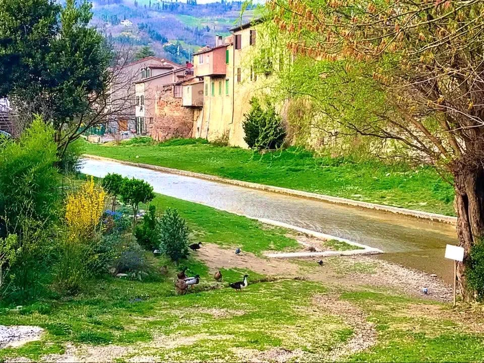 Immagine caricata da Andrea