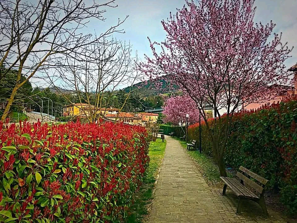 Immagine caricata da Andrea