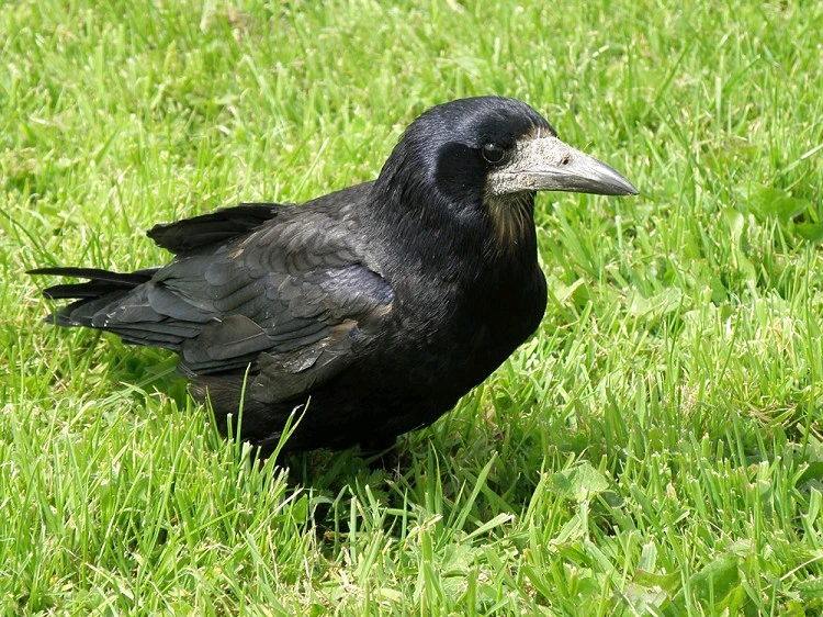 Immagine caricata da Andrea