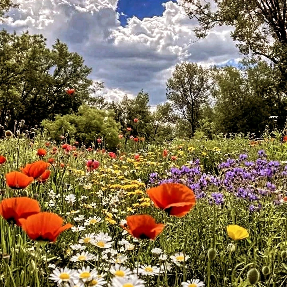 Immagine caricata da Andrea