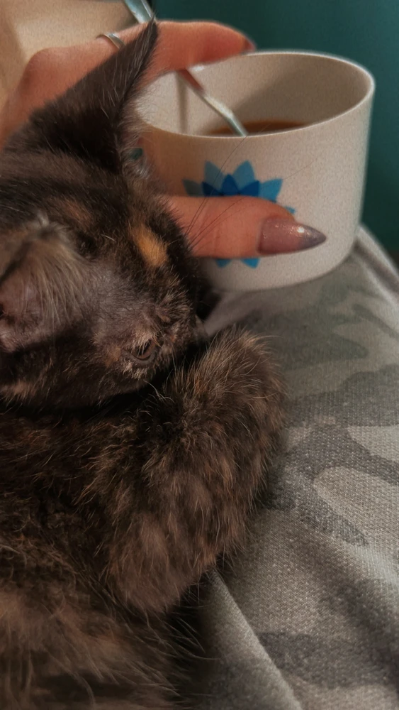 Zsófi által feltöltött GIF