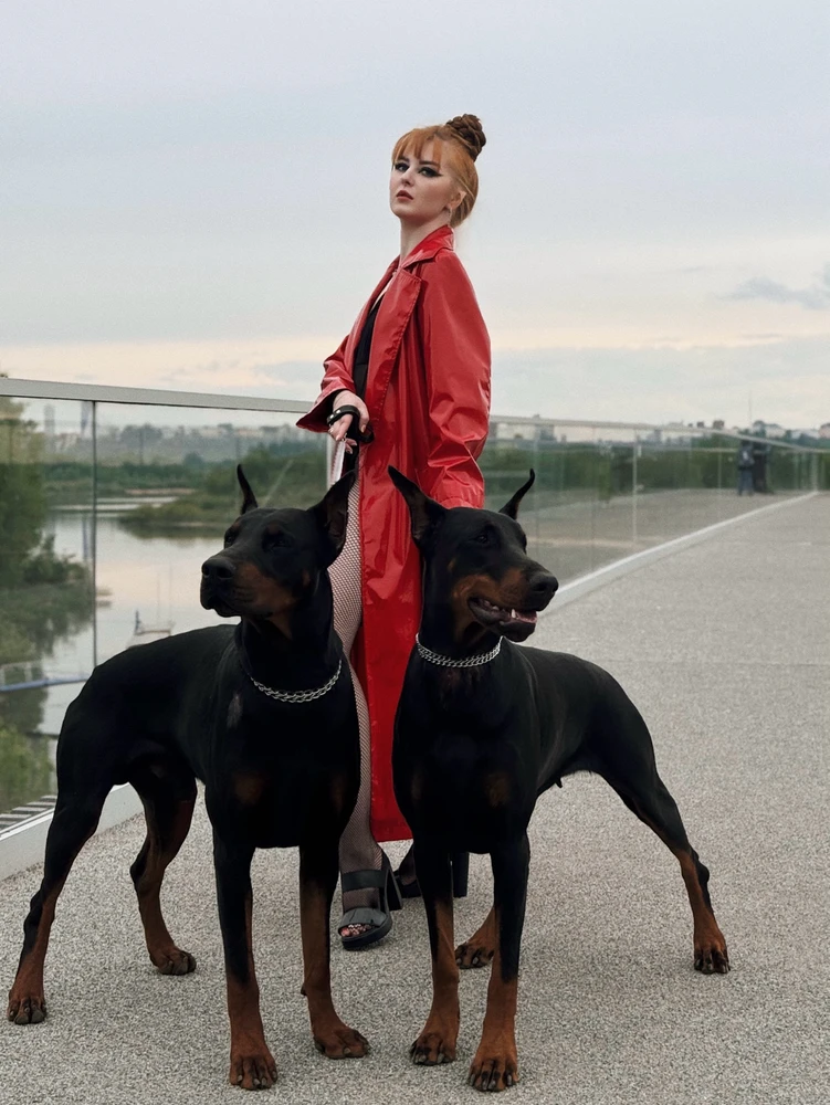 GIF загрузил Яра