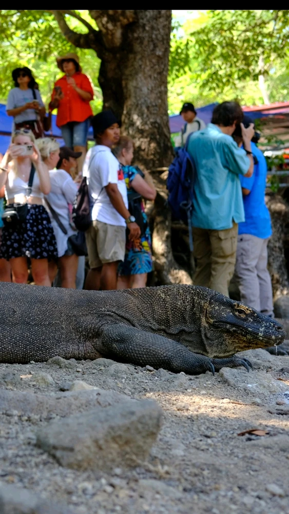 Image uploaded by Winda